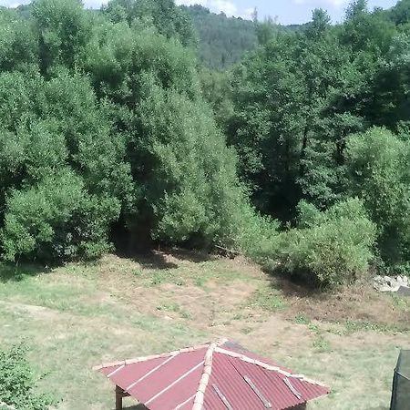 Guest Rooms Voneshcha Voda Voneshta Voda Dış mekan fotoğraf